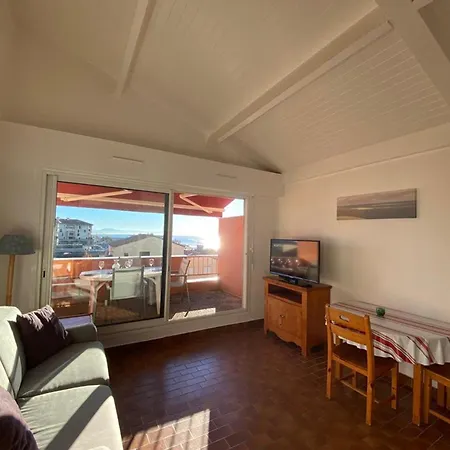 Apartment T2 Avec Terrasse Et Parking A 50m De La - Fr-1-413-257 *